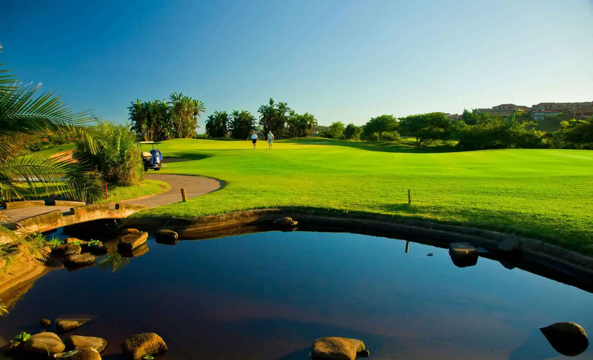 Looking over a water hazard, over a green fairways with trees in the background and a blue sky above
